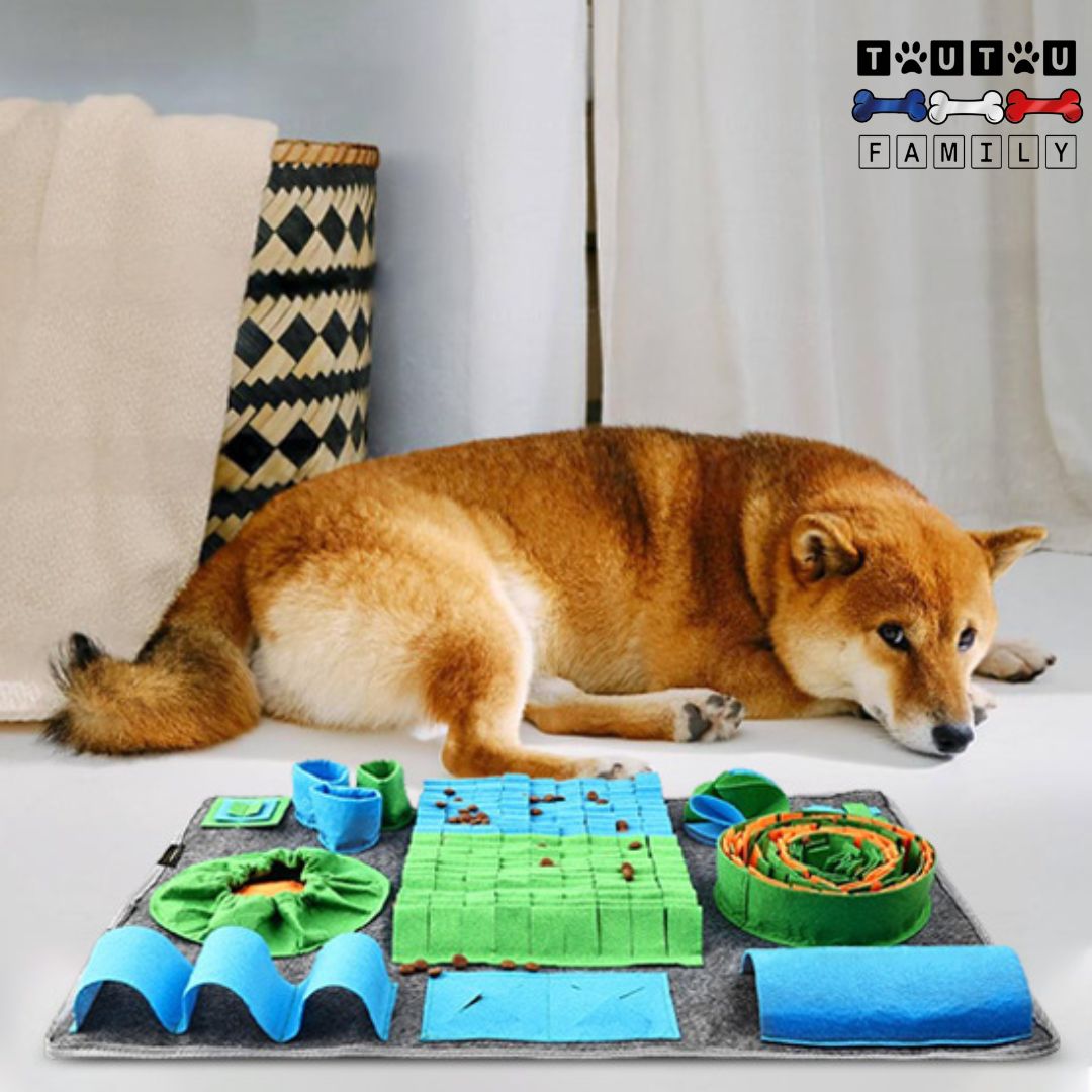 Tapis-de-fouille-chien-polaire-jeu-d-occupation-un-chien-calme-et-détendu-avec-son-tapis-de-fouille-pour-alimentation-lente