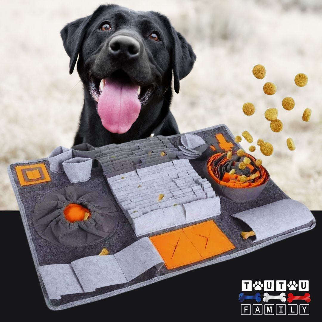 Tapis-de-fouille-chien-polaire-gris-un-labrador-heureux-haletant-devant-le-tapis-de-fouille-pour-chien-gris