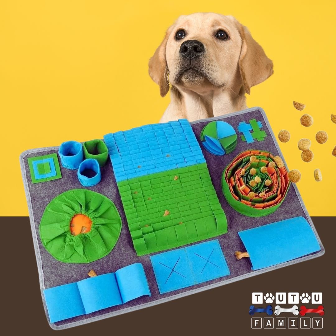 Tapis-de-fouille-chien-polaire-bleu-un-golden-retriever-captivé-pr-son-tapis-de-fouille-pour-chien-garni-de-croquettes-cachées