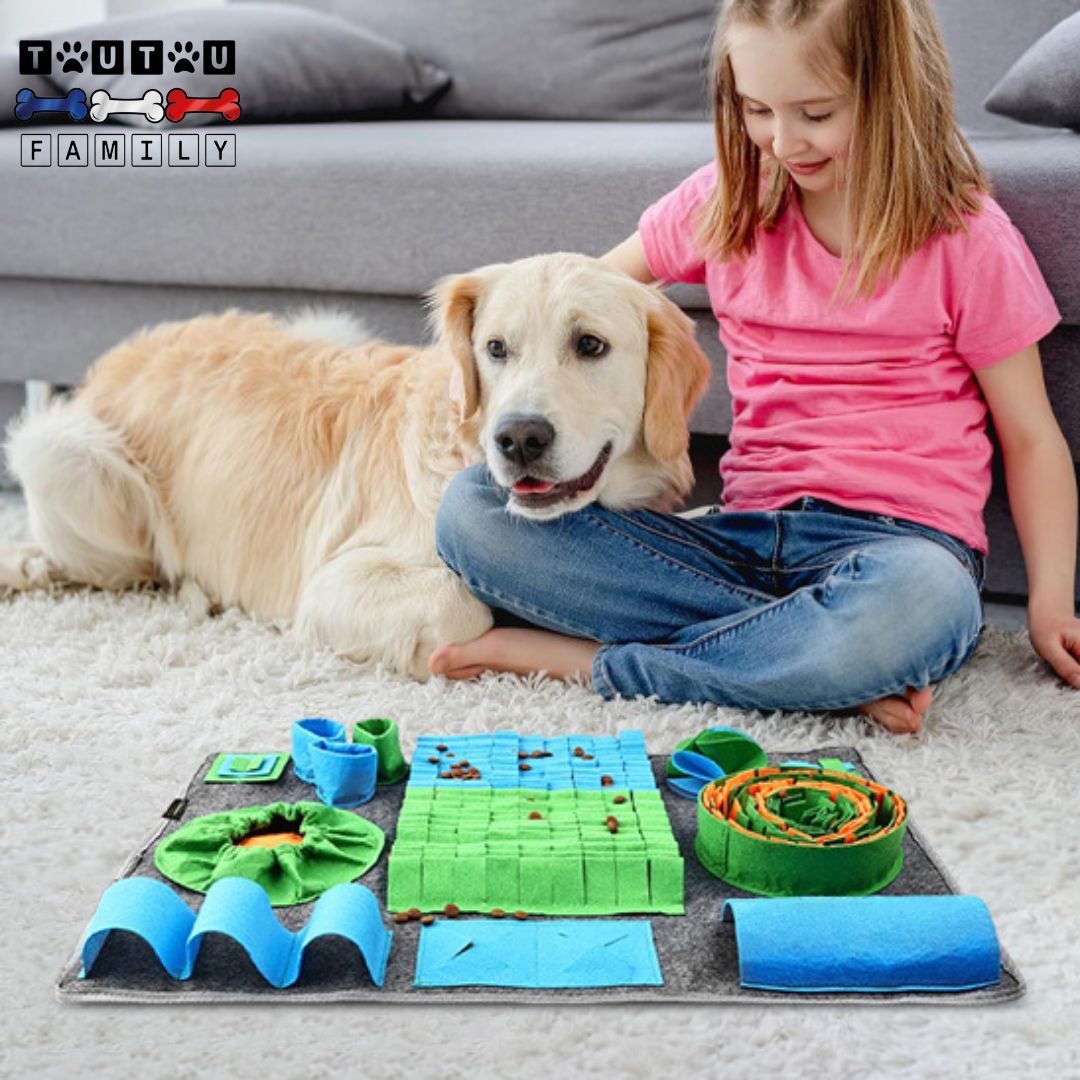 Tapis-de-fouille-chien-polaire-gamelle-anti-glouton-jouet-éducatif-pour-chien-de-dressage-un-chie-ui-profite-d-un-moment-complice-avec-a-fille-de-la-famille-avec-son-tapis-de-fouille-pour-chien