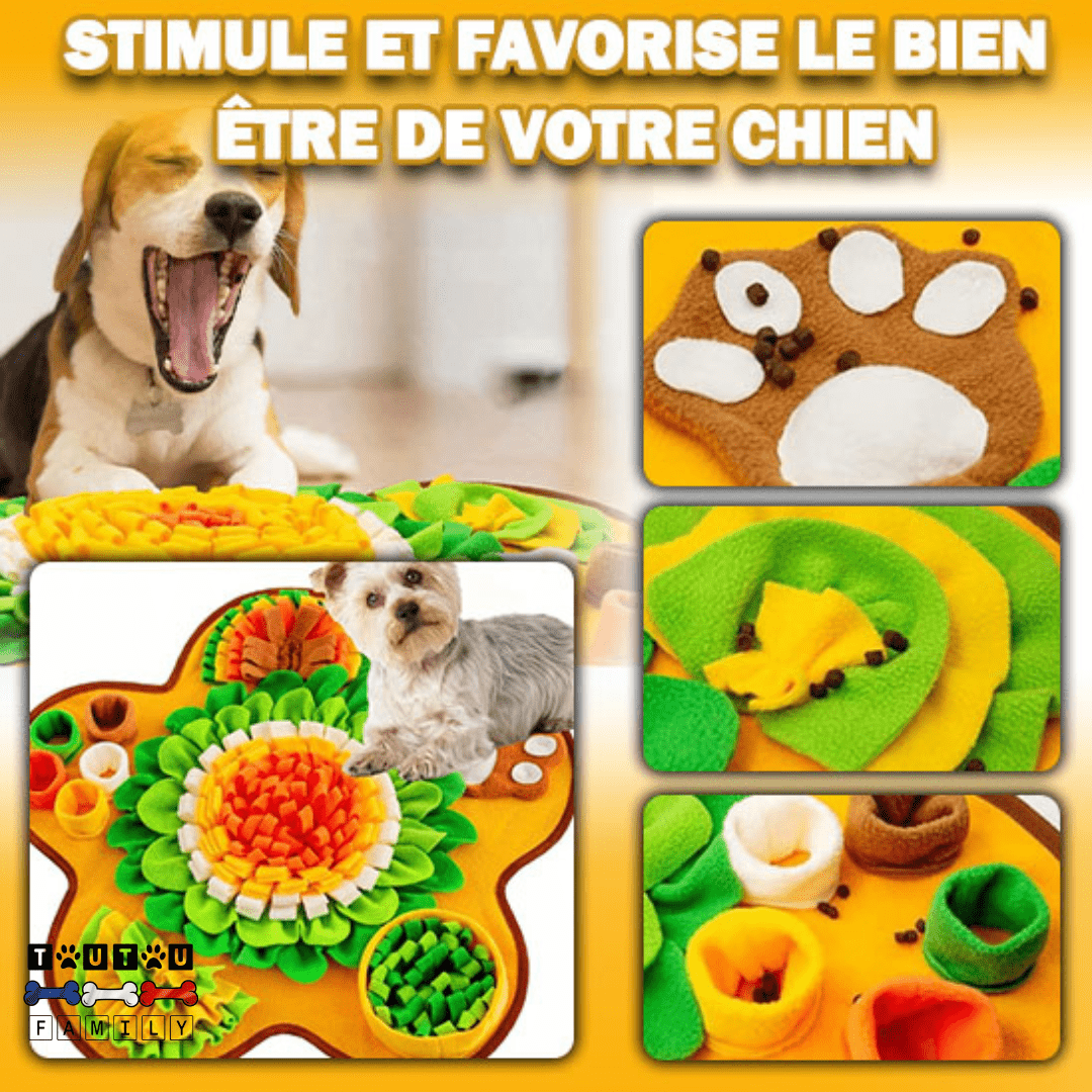 Tapis de fouille chien - FouilleToutou™