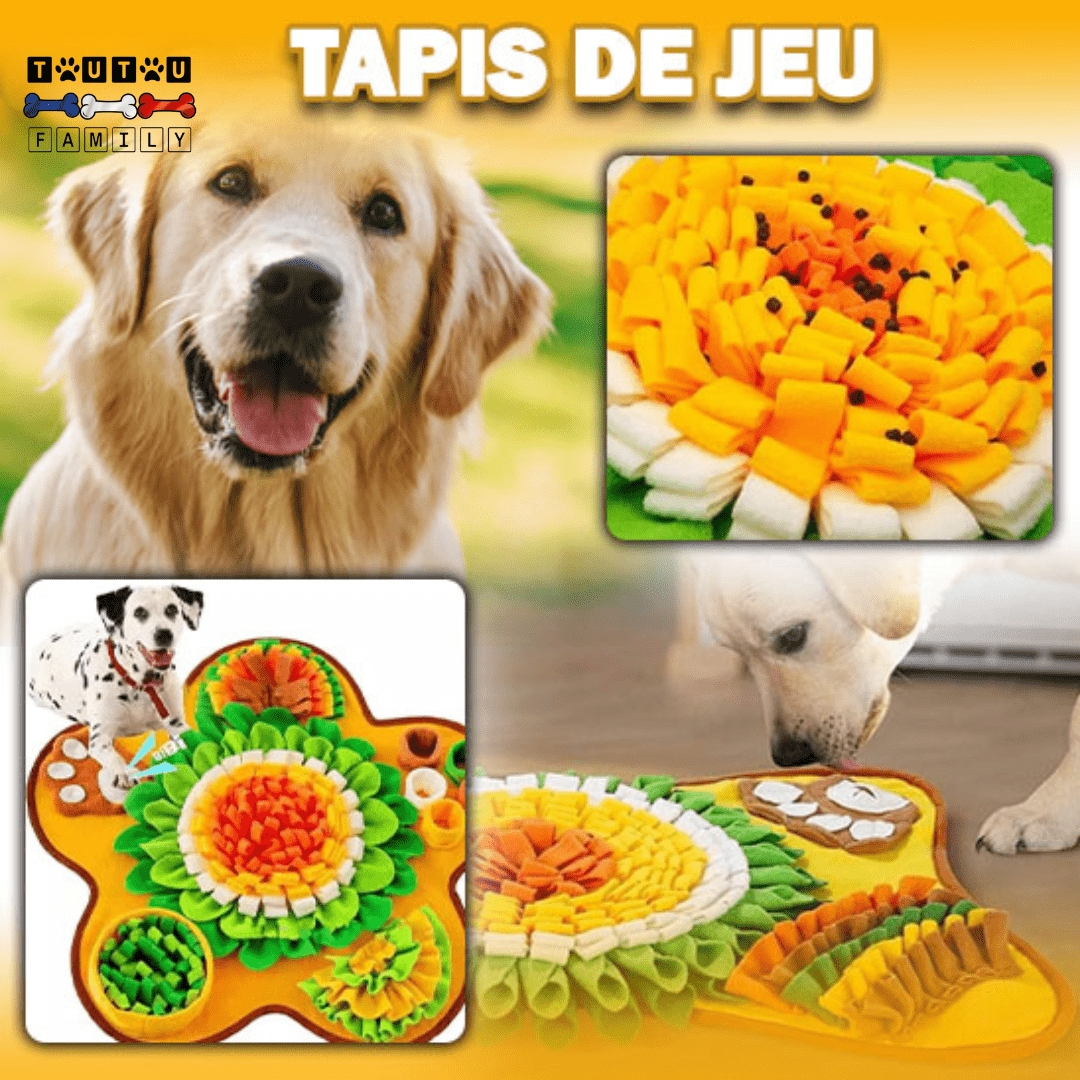 Tapis de fouille chien - FouilleToutou™