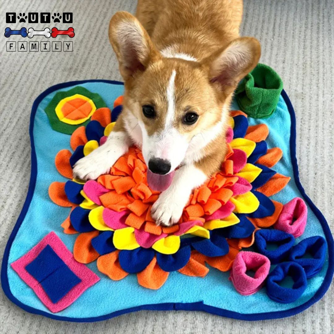 tapis-de-fouille-chien-jeu-stimulant-un-chien-de-race- Welsh-Corgi-Cardigan-allongé-sur-le-tapis-de-fouille