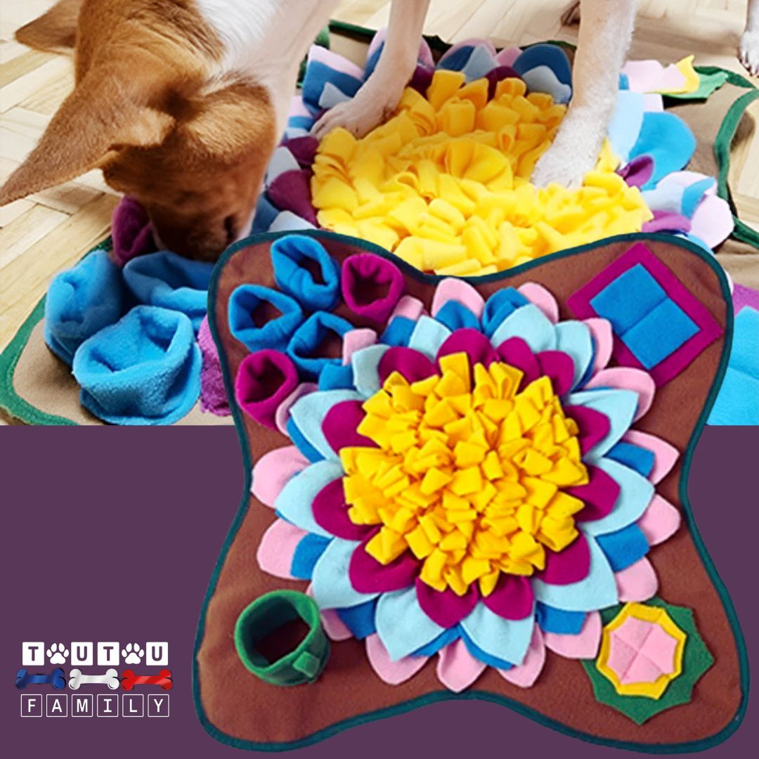 Tapis de fouille chien - NezToutouâą