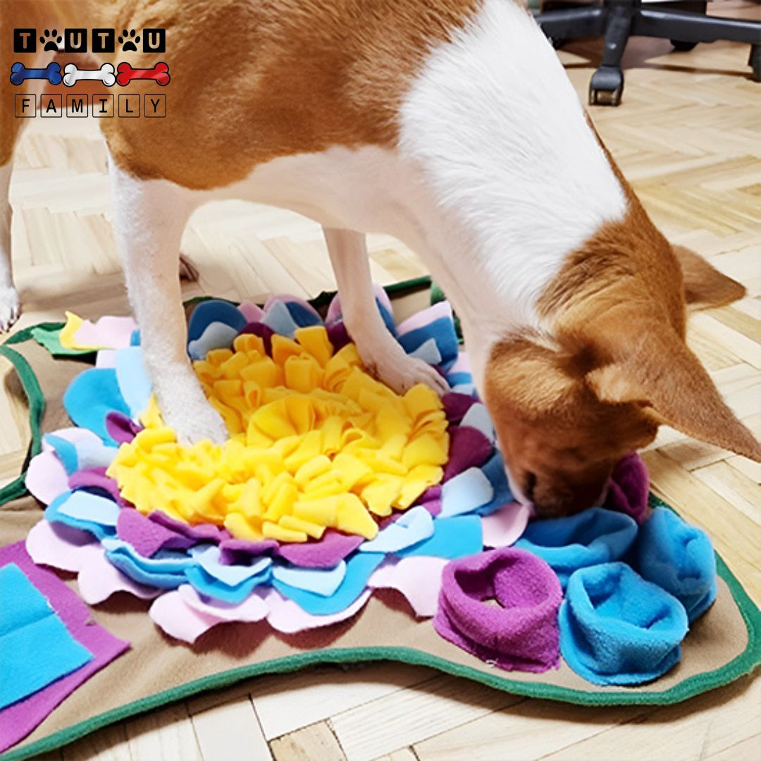 tapis-de-fouille-chien-jouet-d-occupation-un-chien-de-race-Basenji-qui-sent-et-cherche-les-friandises-cachées