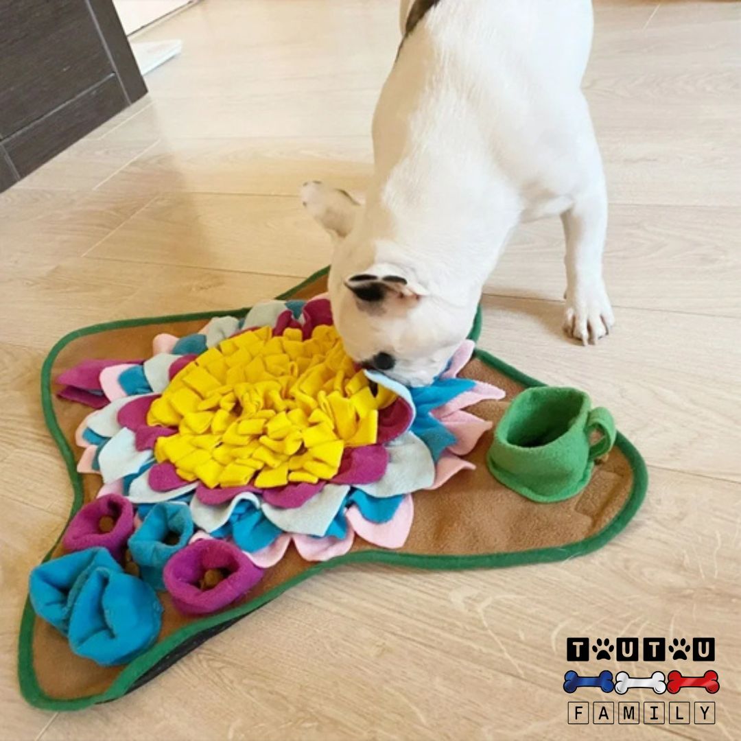 tapis-de-fouille-chien-anti-stress-un-bouledogue-blanc-et-noir-qui-renifle-et-cherche-des-friandises-dans-le-tais-de-fouille