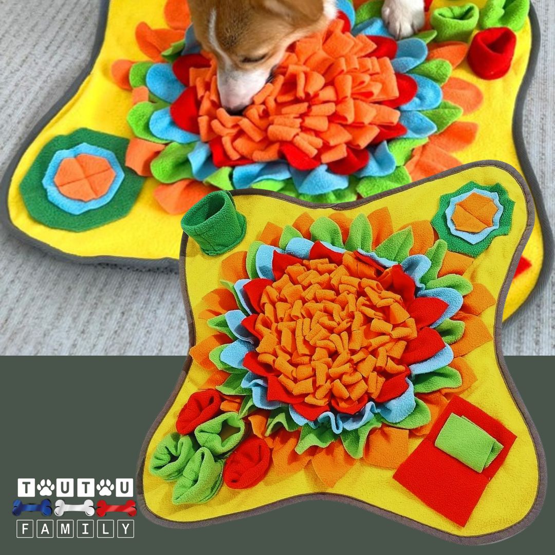 Tapis de fouille chien - NezToutouâą