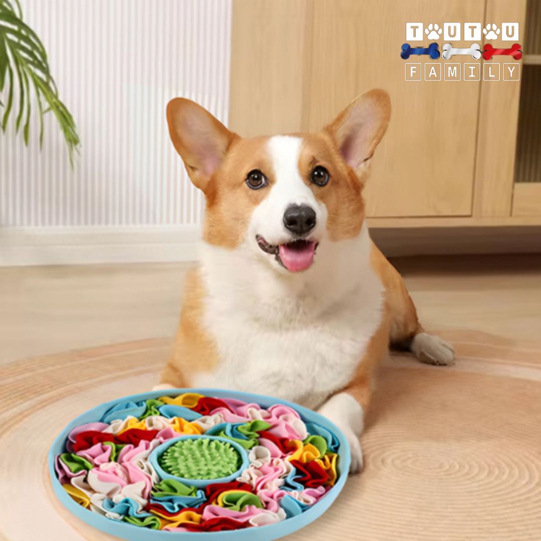 Tapis de fouille chien - RenifleToutou™