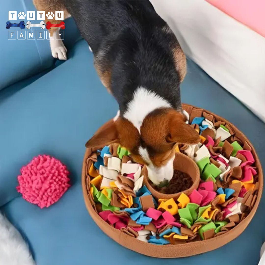 tapis-de-fouille-chien-jeu-d-occupation-chien-un-petit-chien-qui-mange-ses-croquette-dansla-gamelle-anti-glouton