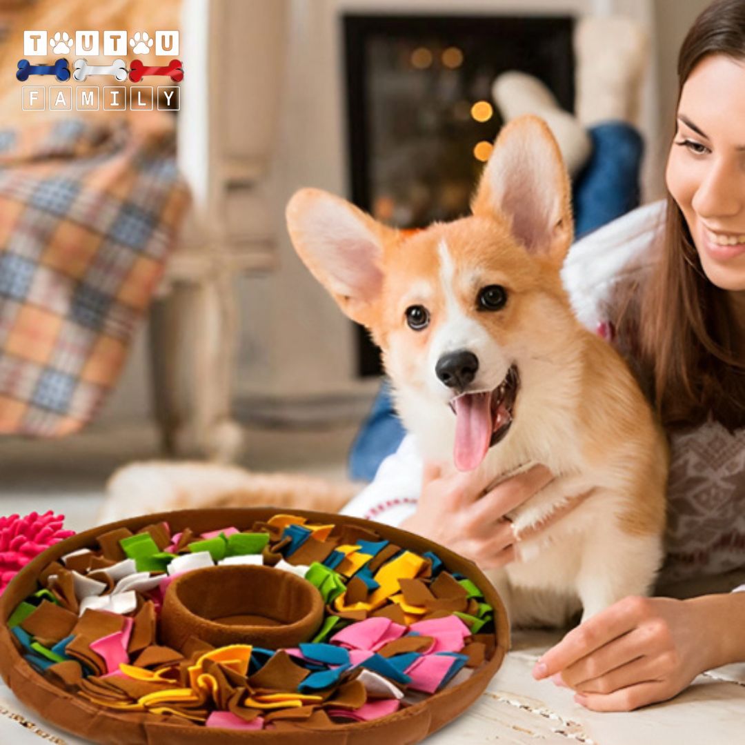 tapis-de-fouille-chien-jeu-d-intelligence-pour-chien-une-maitresse-qui-sourit-a-son-chien-de-race-corgi-welsh