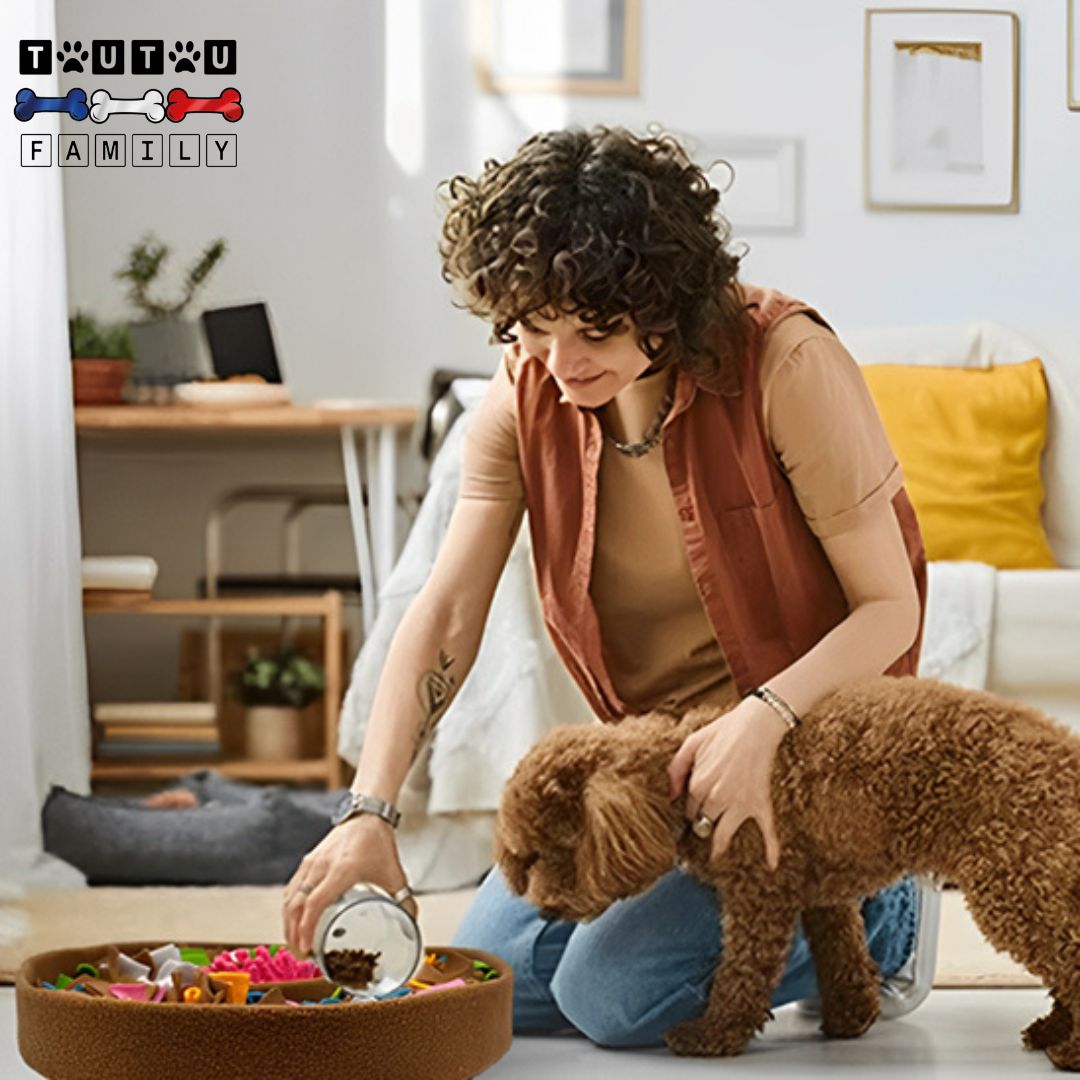 tapis-de-fouille-chien-distributeur-de-croquette-une-maitresse-avec-son-caniche-marron-qui-verse-des-friandise-dans-le-tapis