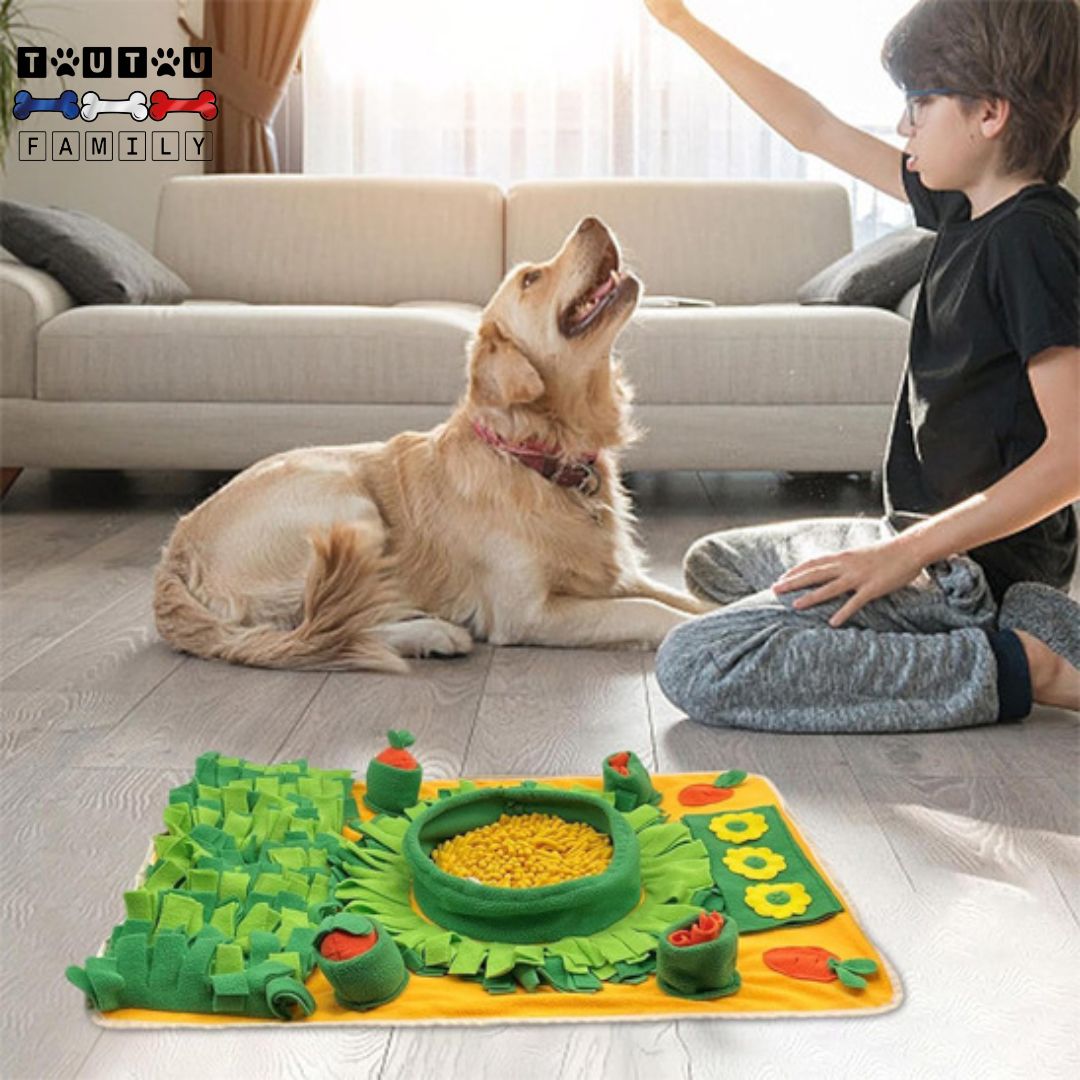 Tapis-de-fouille-pour-chien-lavable-jouet-d-intelligence-pour-chien-jouet-d-enrichissement-entrainement-olfactif-et-mental