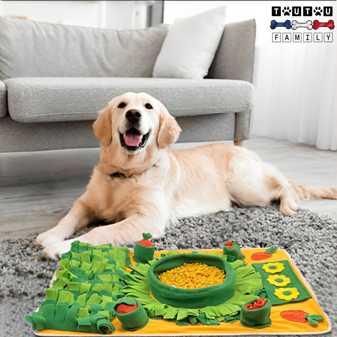 Tapis-de-fouille-pour-chien-jeu-d-intelligence-pour-chien-plusieurs-cachettes-jouet-distributeur-de-croquette-pour-chien-lavable-en-machine