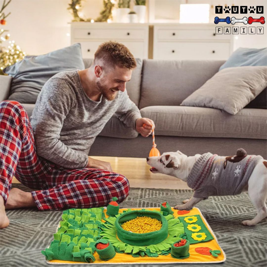 Tapis de fouille pour chien - OccupationToutouâą
