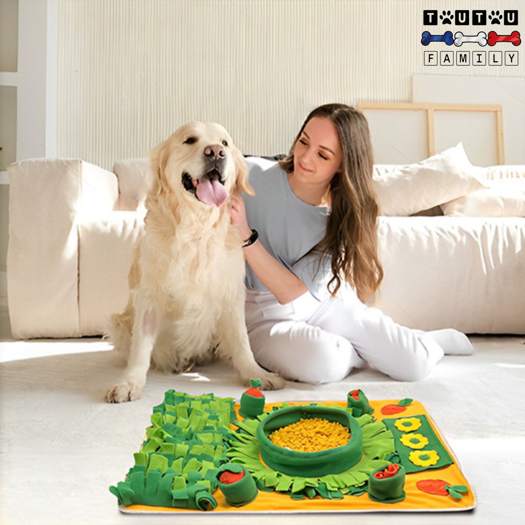 Tapis-de-fouille-pour-chien-jouet-d-occupation-chien-gamelle-d-enrichissement-mental-une-maßtresse-avec-son-golden-tout-heureux-avec-son-tapis-de-fouille-unjouet-anti-ennui-anti-anxiété