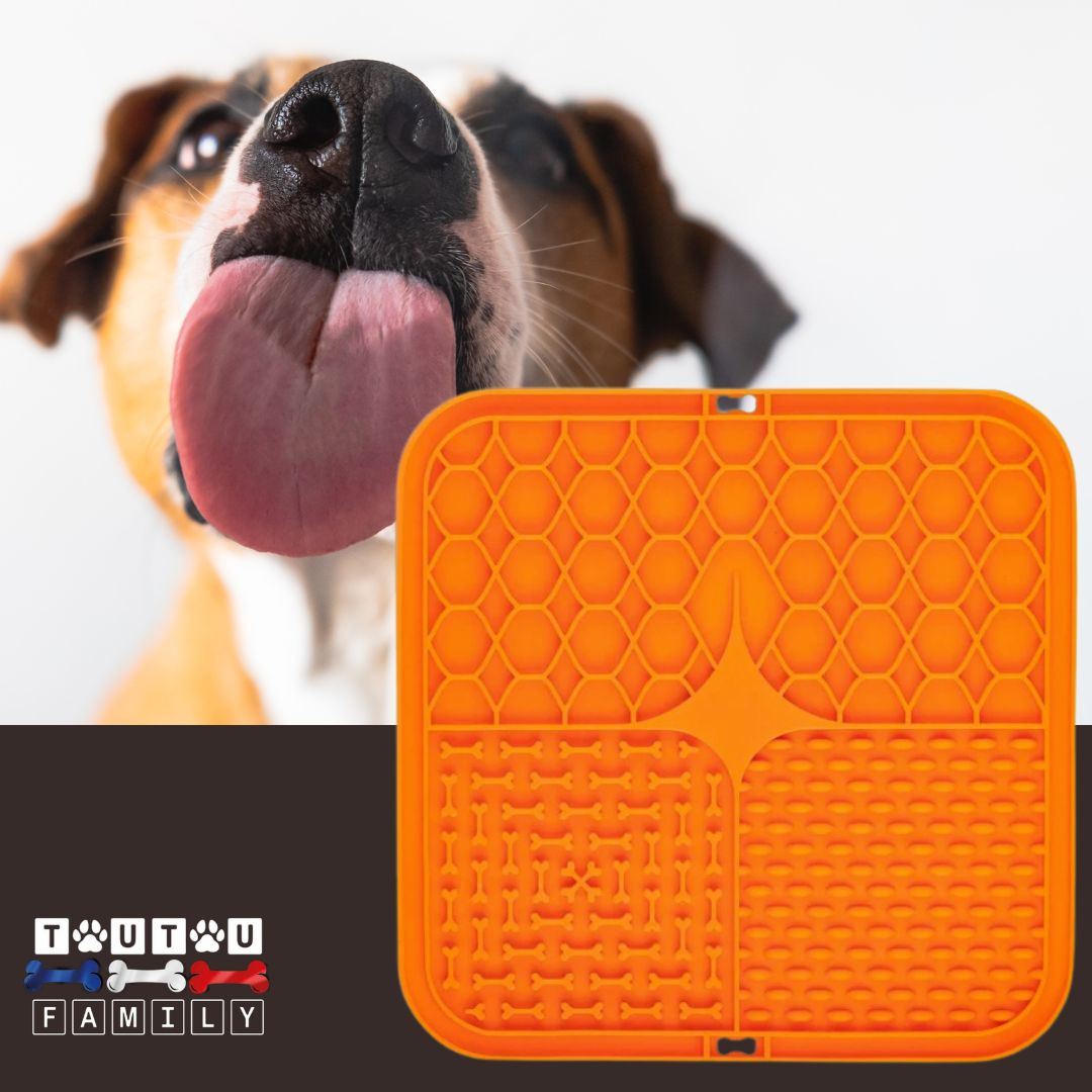 Tapis-de-lechage-chien-orange-pour-alimentation-sĂšche-humide-ou-liquide-pour-chien