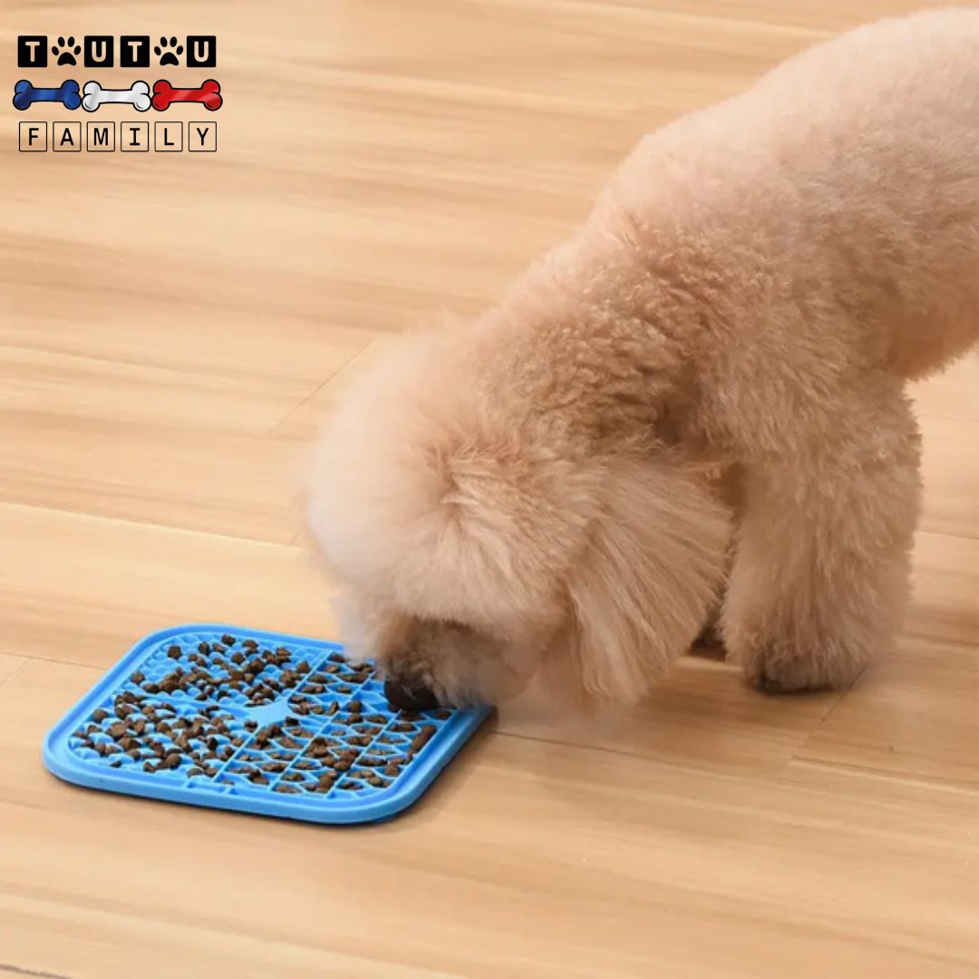 Tapis-de-lechage-chien-gamelle-anti-glouton-un-caniche-toiletter-calme-et-serein-en-léchant-et-mangeant-ses-croquettes-sur-le-tapis-de-léchage-lavable-an-lave-vaisselle