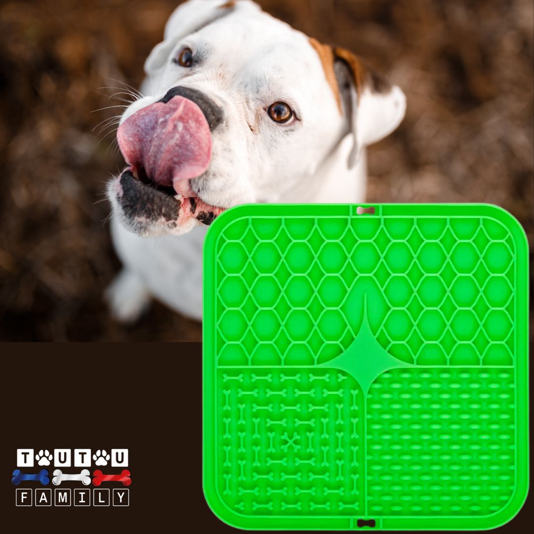 Tapis-de-lechage-chien-vert-3-zone-d-alimentation-lente-liquide-solide-et-fraiche