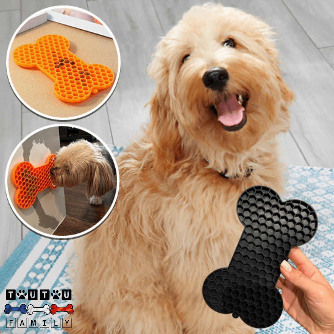 tapis-de-lechage-chien-ventouse