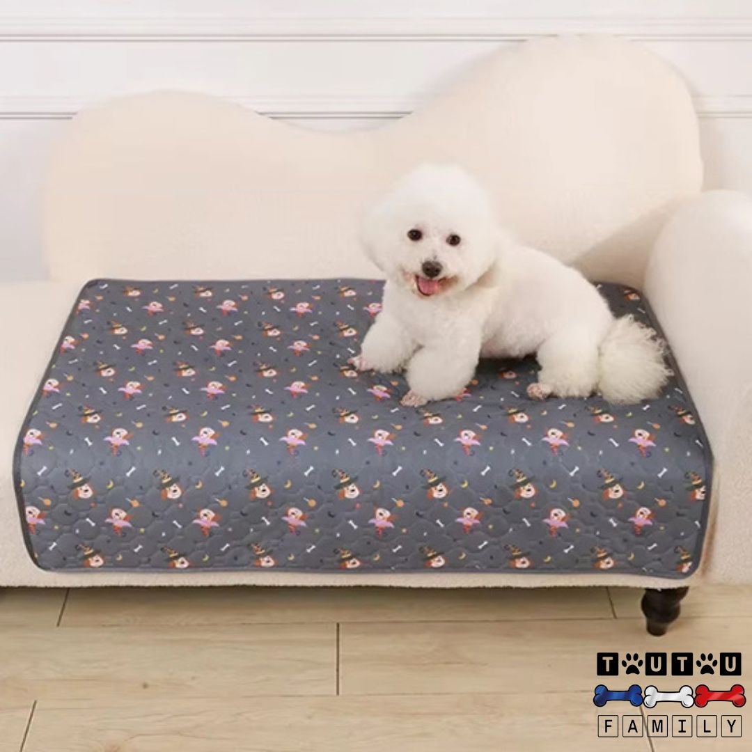 Tapis-impermeable-pour-chien-tapis-xxl-tapis-pipi-ou-salissure-ultra-absorbant-tapis-anti-fuite-pour-tous-les-chiens-lavable-réutilisable-écologique-et-économique