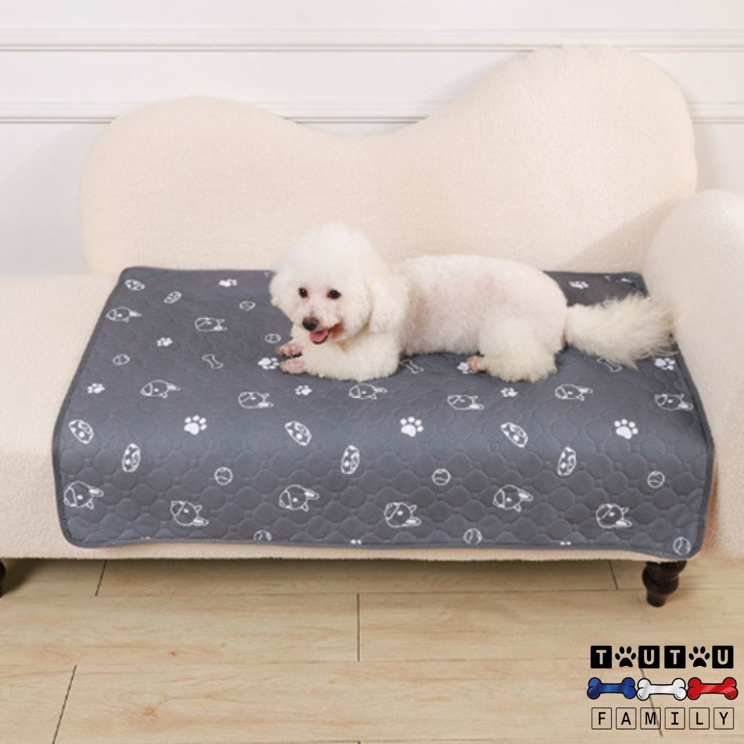 Tapis-imperméable-pour-chien-tapis-d-apprentissage-tapis-d-éducation-à-la-propreté-tapis-lavable-en-machine-un-chien-couché-confortablement-au-sec-sur-son-tapis-protège-canapé