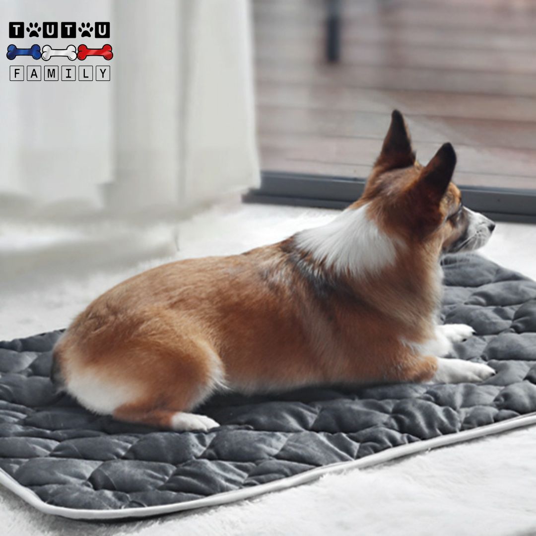 Tapis-pour-chien-auto-chauffant-confortable-remborrage-en-coton-technologie-auto-chauffante-sans-électricité-sans-danger-pour-les-chiens-un-chien-couché-sur-son-tapis-autochauffant-chaud-et-confortable-avec-épaisseur-coton