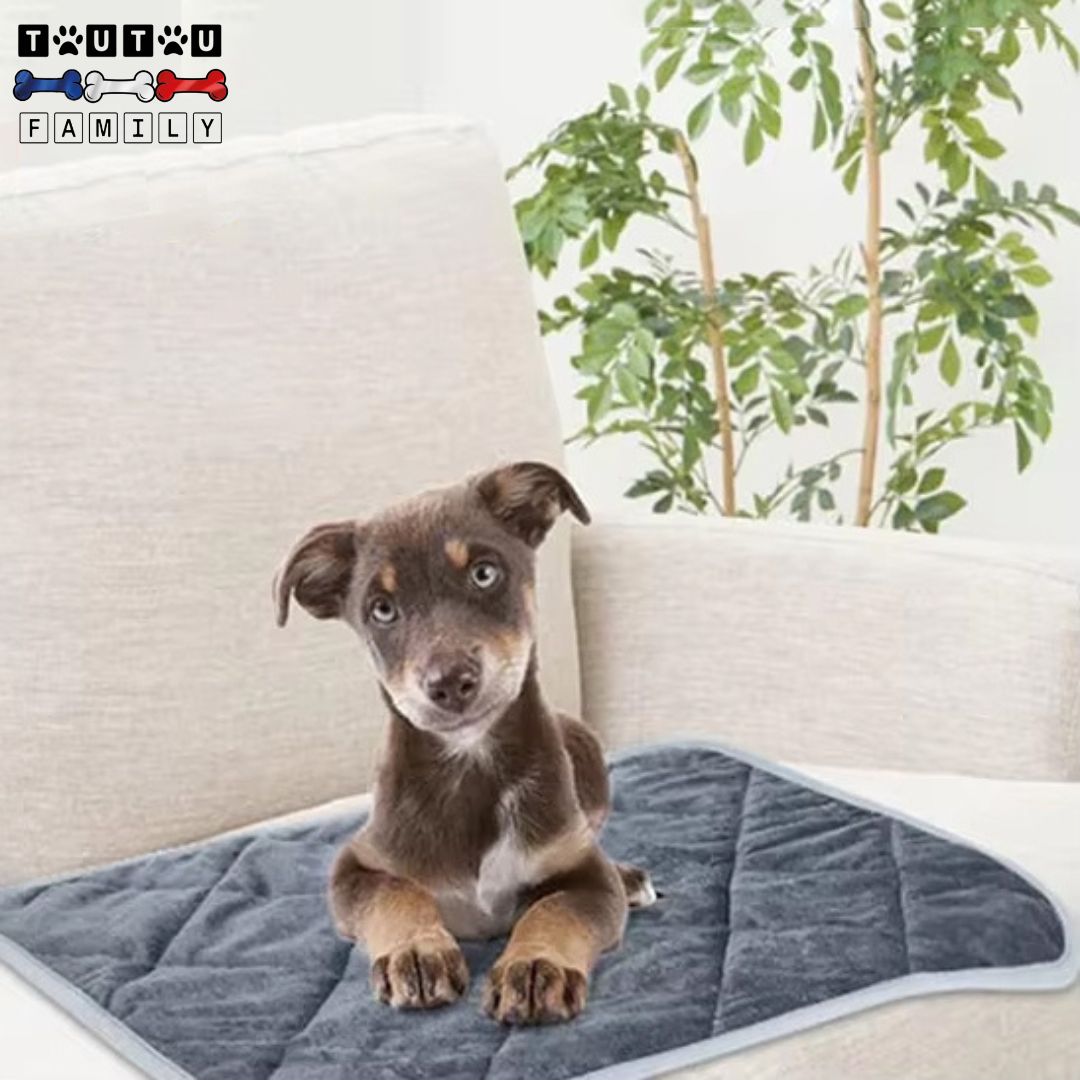 Tapis-pour-chien-auto-chauffant-sans-electricite-chien-chiot-polyvalent-pliable-transportable-pour-panier-niche-lit-voiture-cage-de-transport-tapis-antidérapant-et-résistant-aux-griffes-et-morsure-de-chien