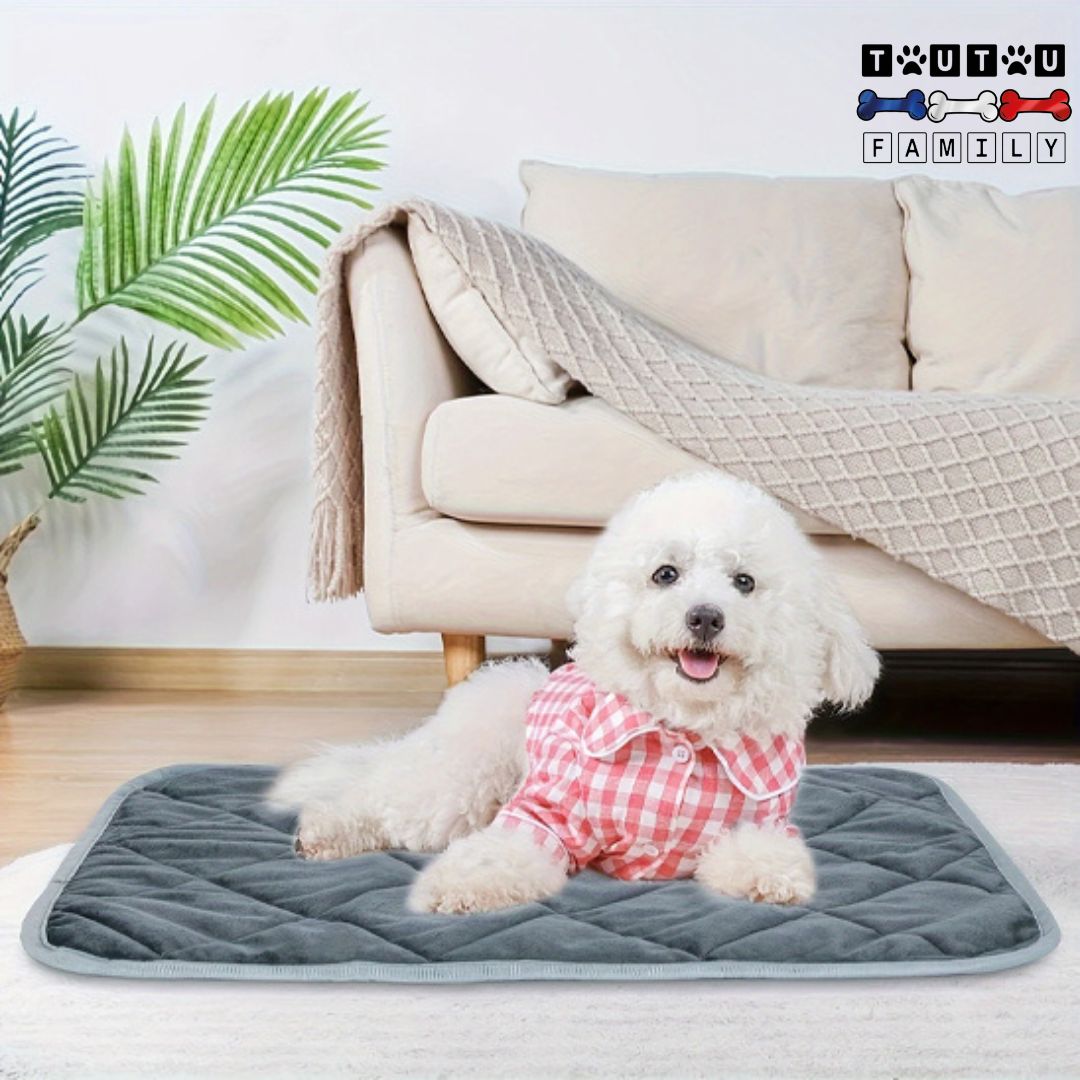 Tapis-pour-chien-auto-chauffant-naturel-un-petit-chien-couché-sur-son-tapis-auto-chauffant-sans-électricité-résistant-aux-griffe-et-morsure-lavable-en-machine