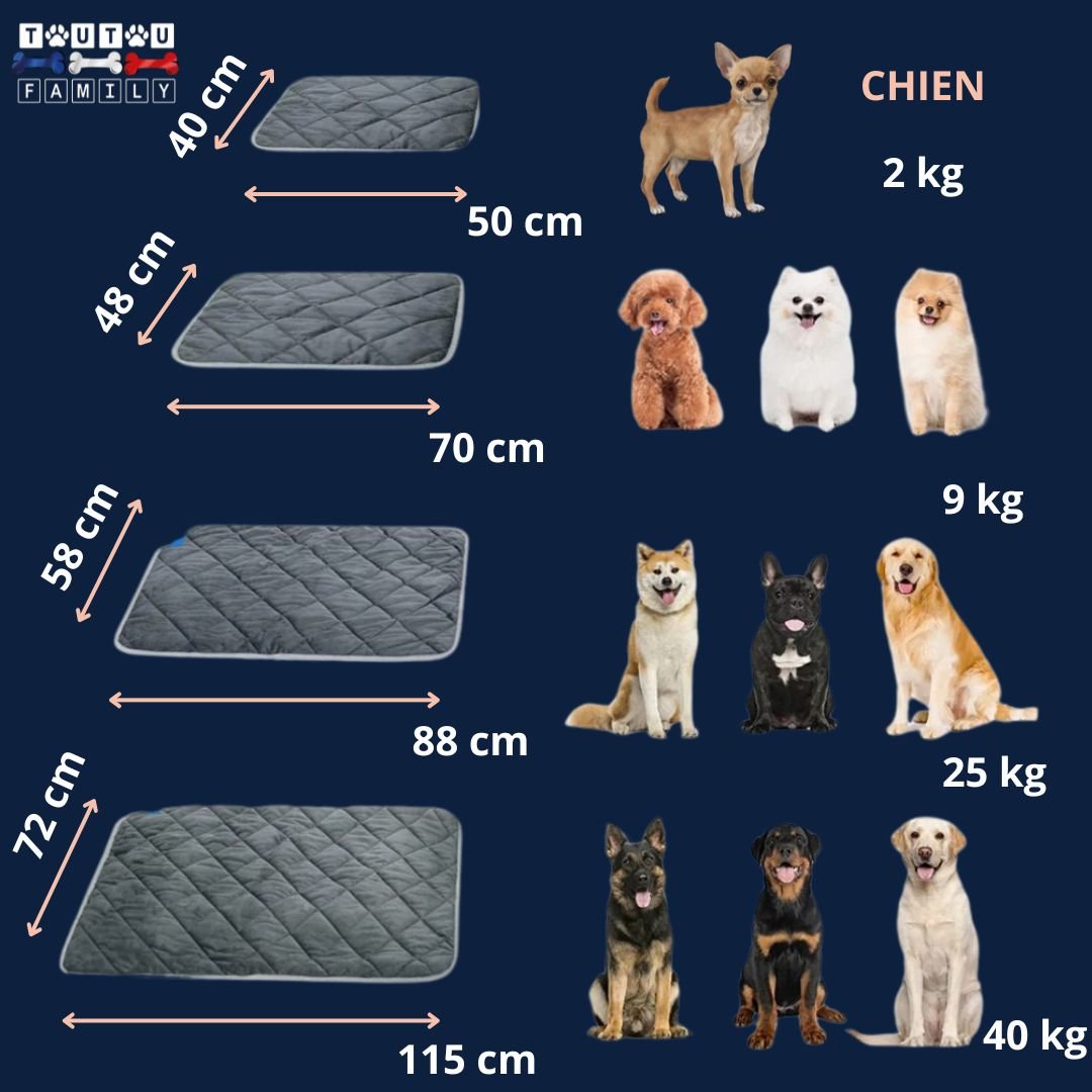 Tapis-pour-chien-auto-chauffant-guide-de-tailles-du-S-au-XL-4-tailles-du-petit-au-grand-chien