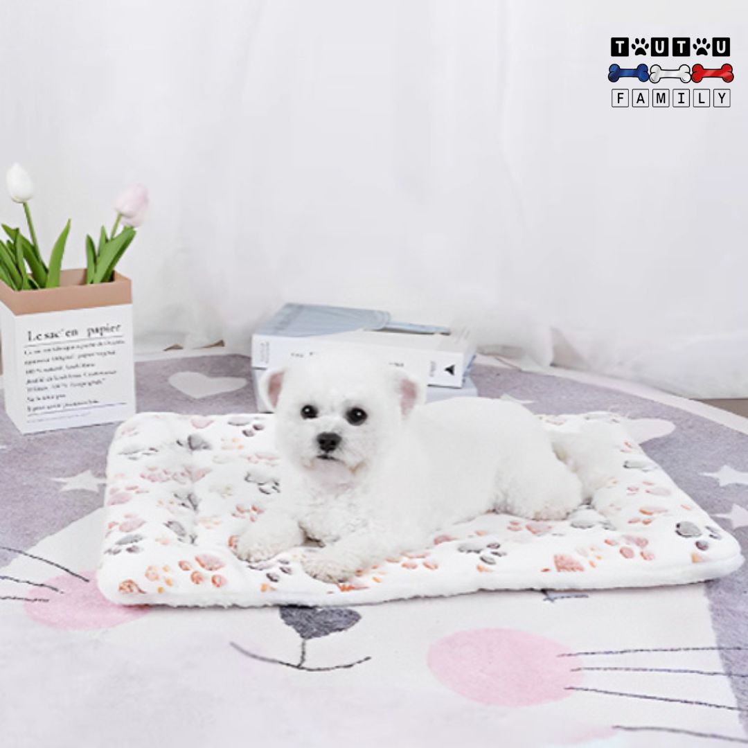 tapis-pour-chien-couverture-polaire-chaude-lavable-un-chiot_coton-de-tuléar-couché-sur-son-tapis-polaire-imrimé-pattes-de-chien