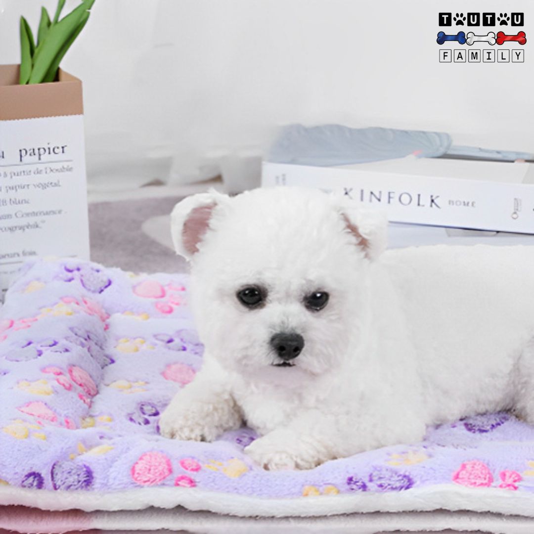 tapis-pour-chien-couverture-polaire-douce-protege-canape-chien-et-sol