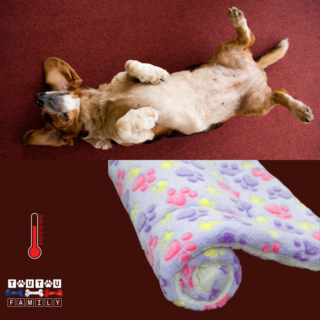 tapis-pour-chien-couverture-chaude-en-polaire-pour-chien-violet-motif-patte-de-chien