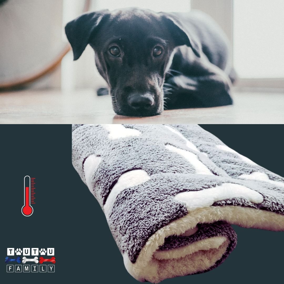 tapis-pour-chien-couverture-polaire-pour-chien-motif-os-couleur-gris
