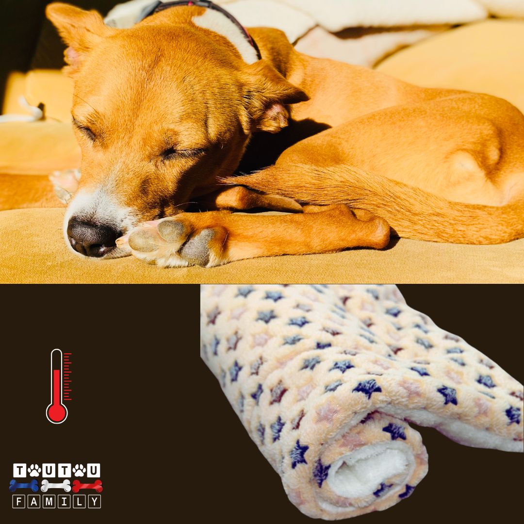 tapis-pour-chien-plaid-polaire-beige
