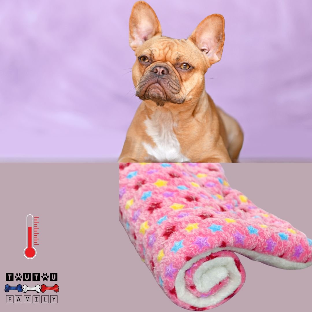tapis-pour-chien-plaid-polaire-couverture-etoile-rose