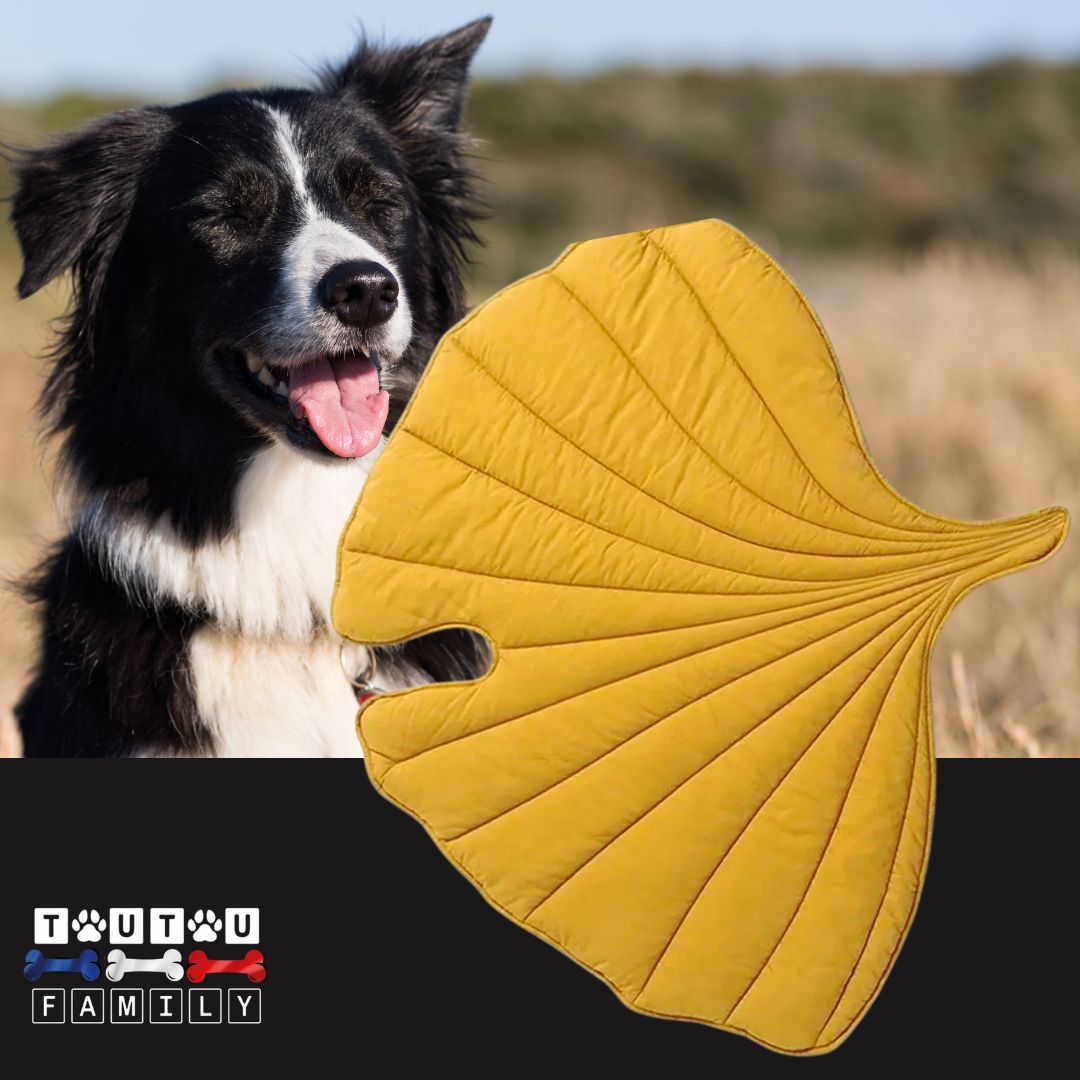 tapis-pour-chien-double-face-jaune-couverture-chien