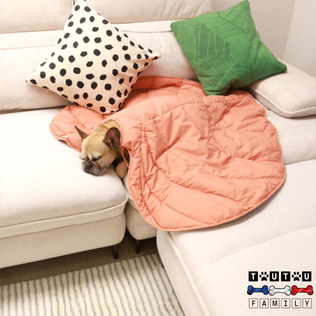 tapis-pour-chien-double-face-en-forme-de-feuille-coton-un-bouledogue-qui-dort-sur-le-canapé-avec-le-tapis-en-guise-de-couverture-sur-lui