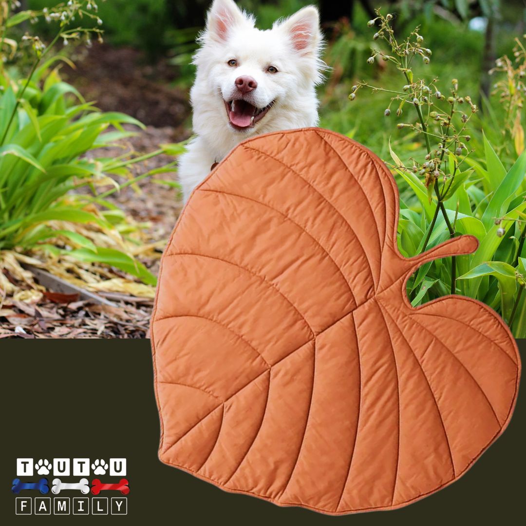 tapis-pour-chien-double-face-orange-couverture-chien
