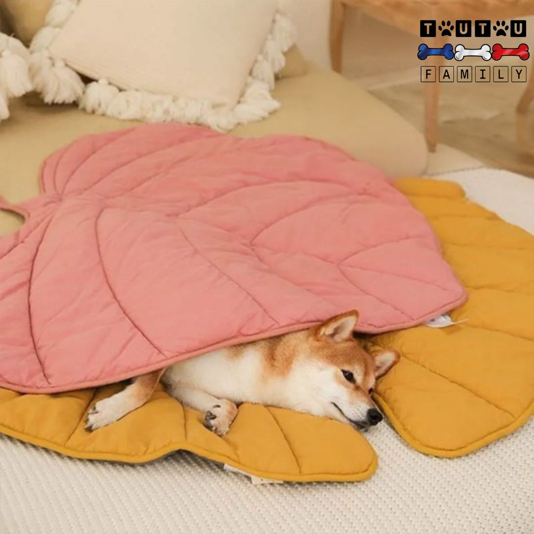 tapis-pour-chien-double-face-couverture-pour-chien-coton-de-soie-un-chien-qui-dort-confortablement-couché-sur-le-tapis-jaune-avec-un-tapis-rose-en-couverture-mise-sur-lui