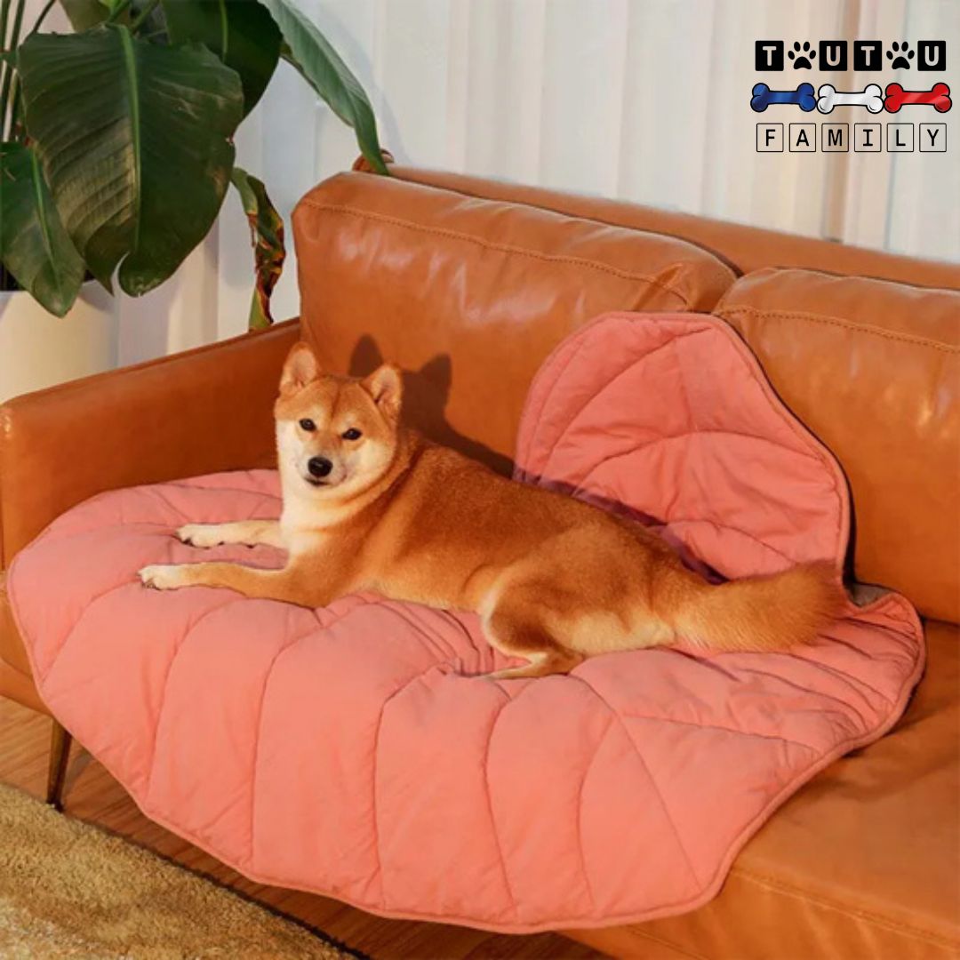 tapis-pour-chien-design-double-face-rembourre-coton-lavable-en-machine-un-shiba-inu-couché-sur-le-tapis-qui-protÚge-le-canapé-en-cuir-de-la-maison