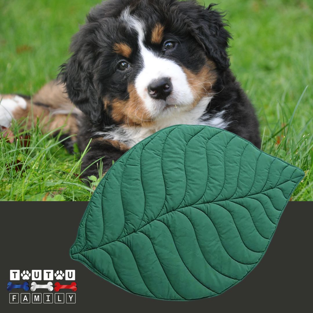 tapis-pour-chien-double-face-vert-couverture-pour-chien
