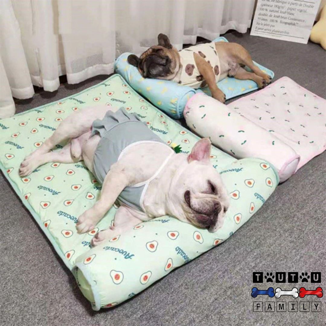 Tapis-pour-chien-rafraichissant-avec-traversin-sans-eau-sans-électricité-sans-danger-sans-bruit-sans-eau-sans-électricité-tapis-rafraichissant-pour-chien-refroidissement-naturelle-pour-préserver-les-chien-des-températures-élevées