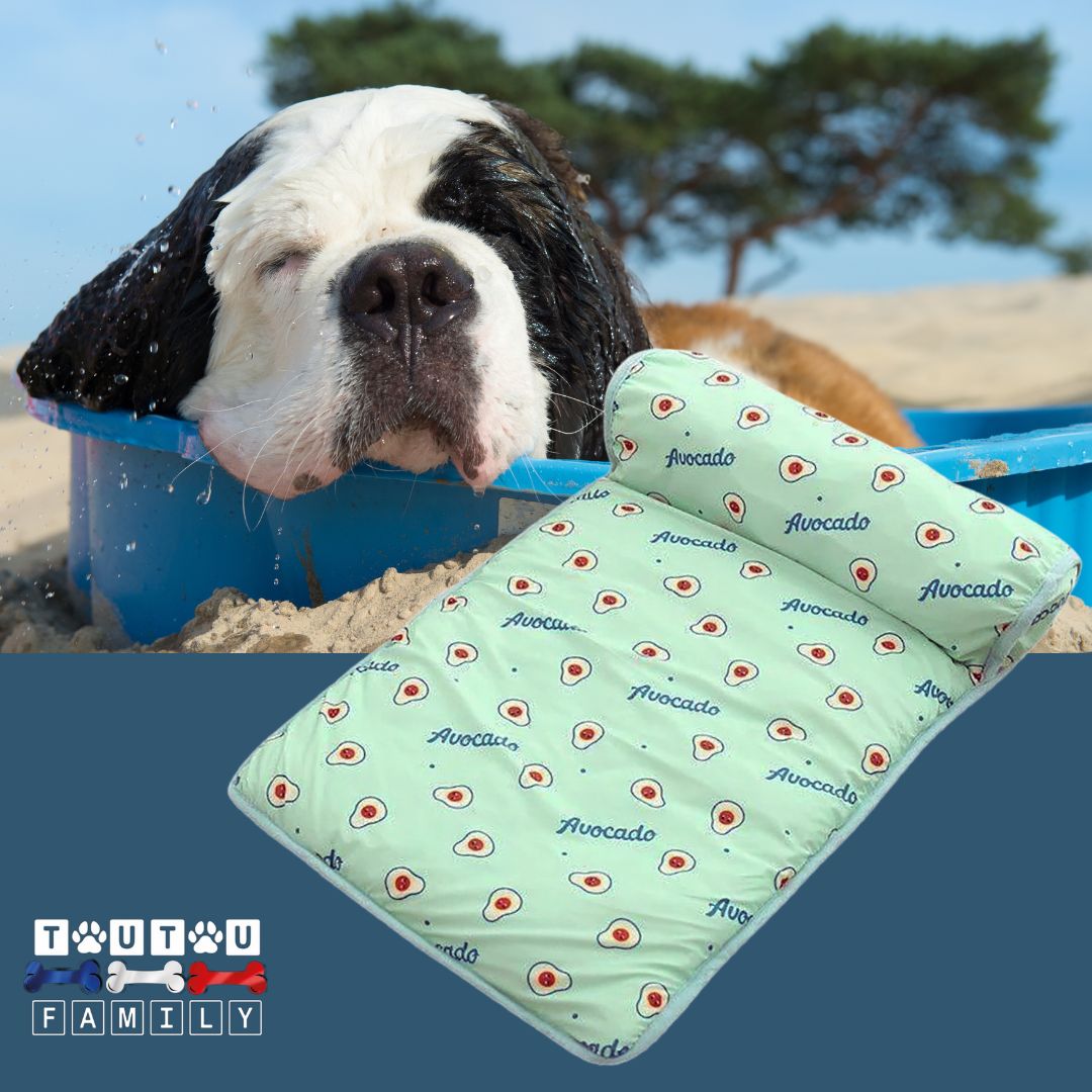 Tapis-pour-chien-rafraichissant-avec-traversin-bleu
