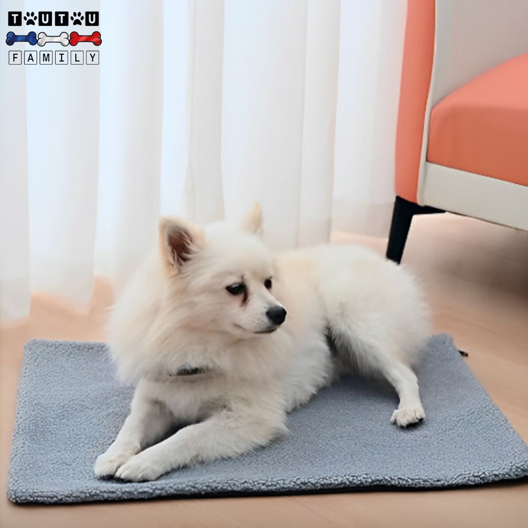 tapis-pour-chien-couverture-thermique-bleu