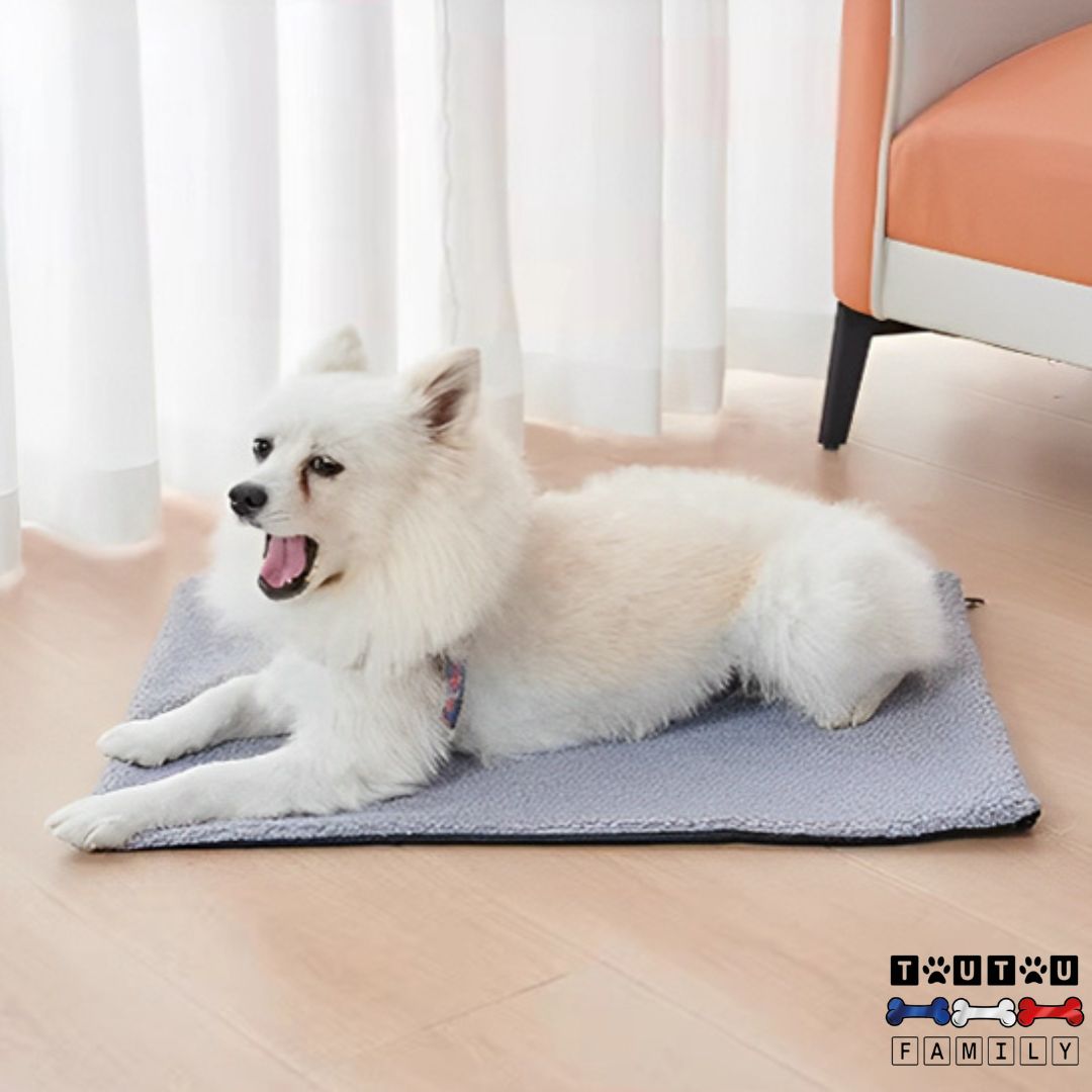 tapis-pour-chien-couverture-thermique-lavable-bleu