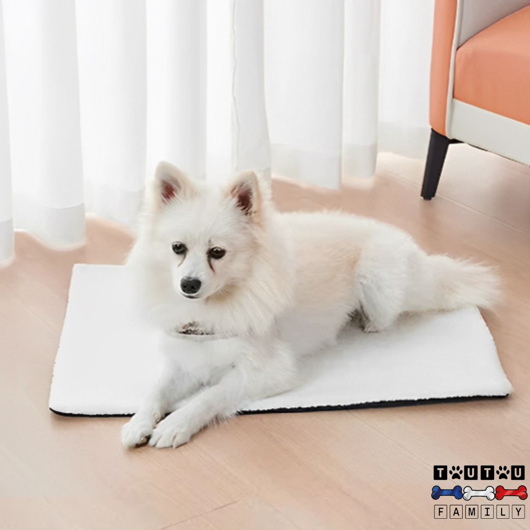 Tapis pour chien - RĂ©guleToutouâą
