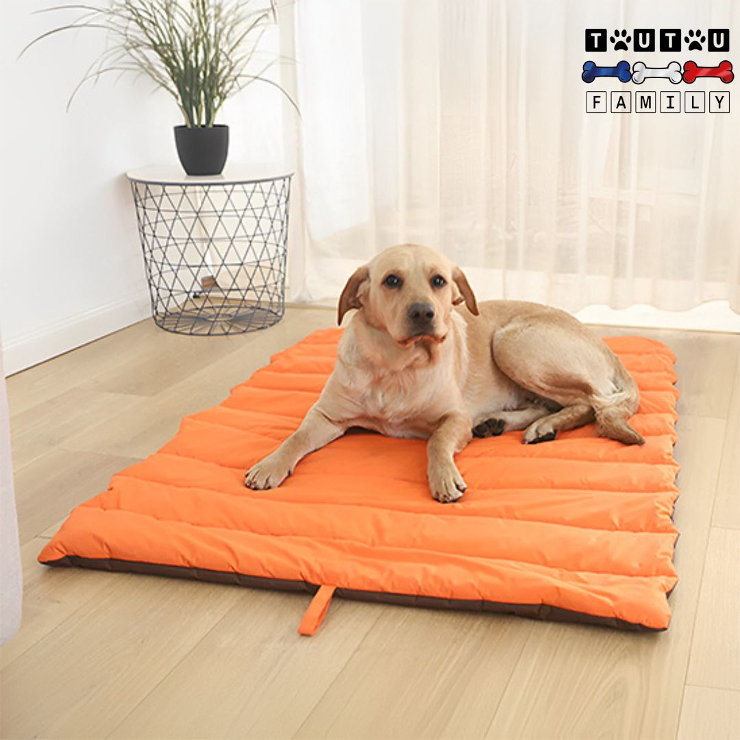 Tapis-pour-chien-xxl-avec-poignée-de-transport-pliable-léger-idéal-pour-les-vacances-en-voiture-sur-le-sol-canapé-lit-pour-chien-camping-et-extérieur-imperméable-et-rembourrage-en-coton-un-grand-chien-couché-sur-son-tapis-confortable-et-chaud-dans-son-salon