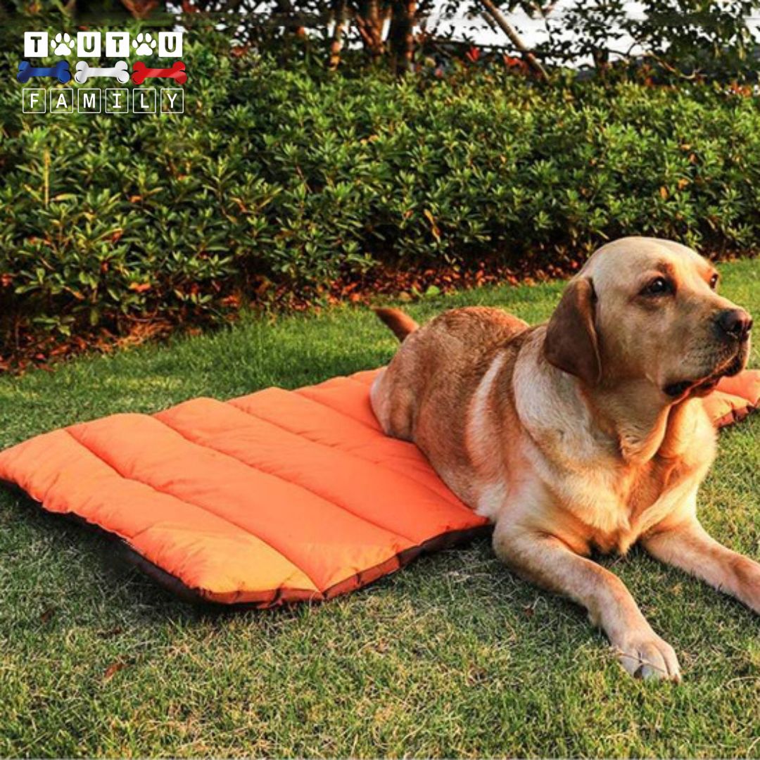 Tapis-pour-chien-xxl-pliable-un-grand-chien-couché-sur-son-tapis-sur-la-pelouse-lit-xxl-pour-chien-camping-pliable-transportable-léger-coffre-voiture-780g-avec-sa-poignée-de-transport-antistatique-pour-une-hygiÚne-irréprochable