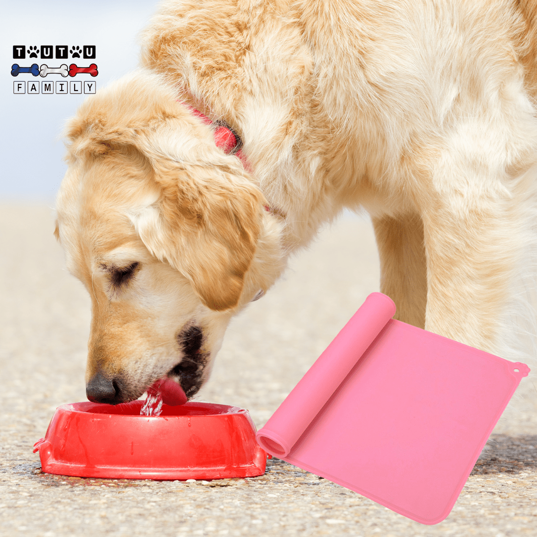 Tapis pour gamelle chien - CleanToutou™