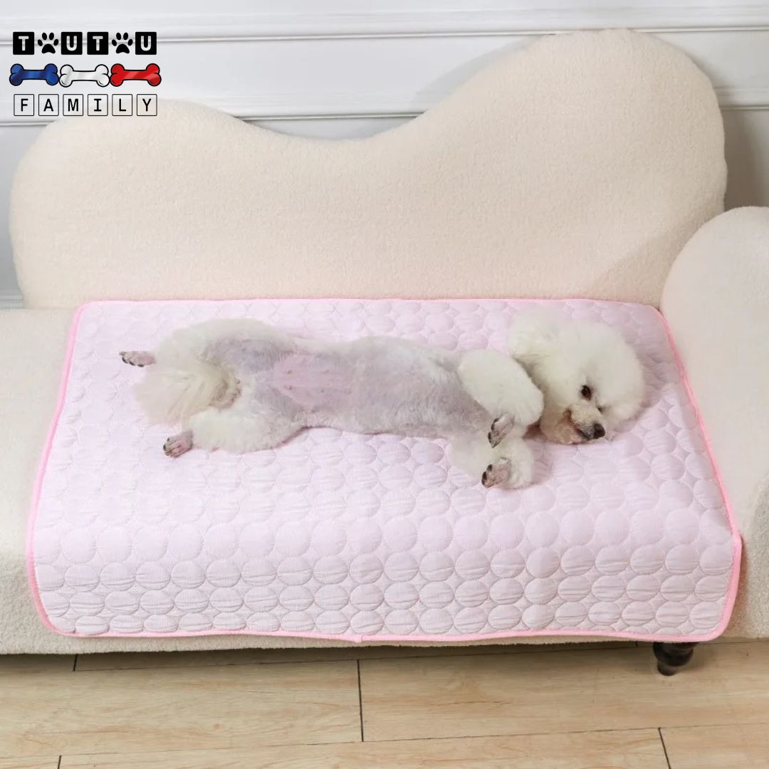 Tapis-rafraichissant-chien-rose-un-caniche-allongé-sur-le-flanc-se-rafraichissant-sur-son-tapis-pendant-l-été